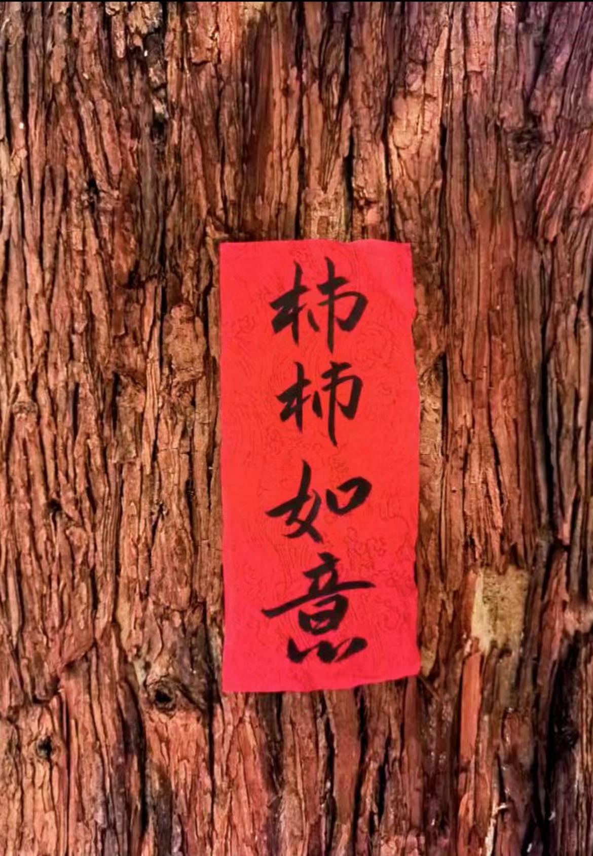 财信集团剪影丨“谷雨”