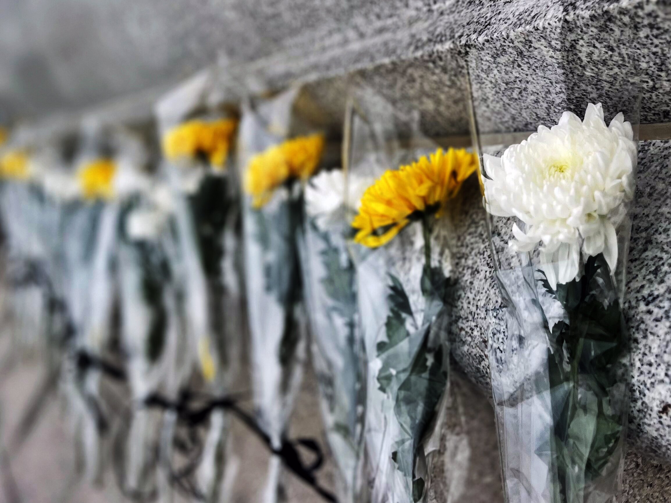 &ldquo;承英烈精神&middot;践国企担当&rdquo;暨徒步健身活动摄影比赛优秀作品展示